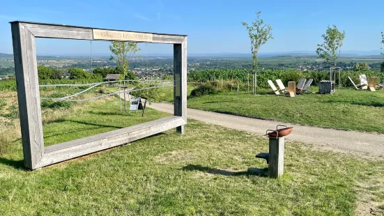 Weinweg Langenlois