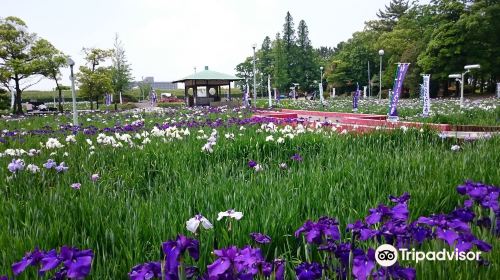 Aburagafuchi Yuenchi