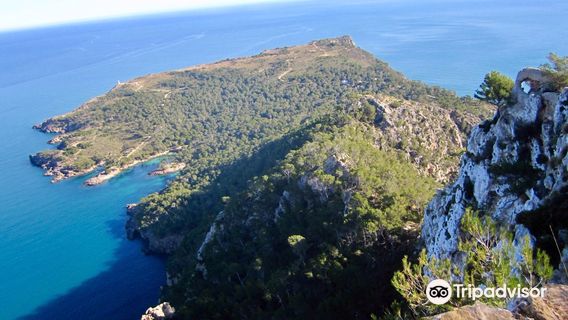 Alcudia