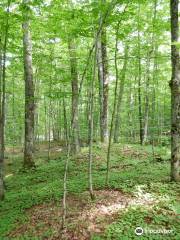 Sugarbush Hill Maple Farm