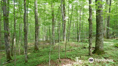 Sugarbush Hill Maple Farm