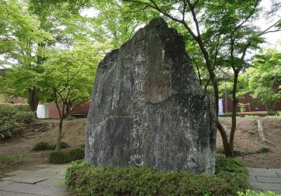Lunar Stone Maple Park