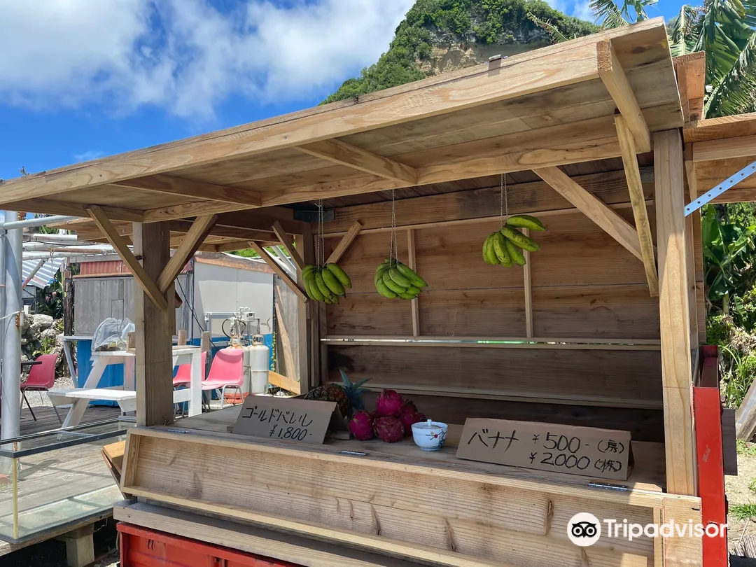 2_Umi-Budou henza Farm