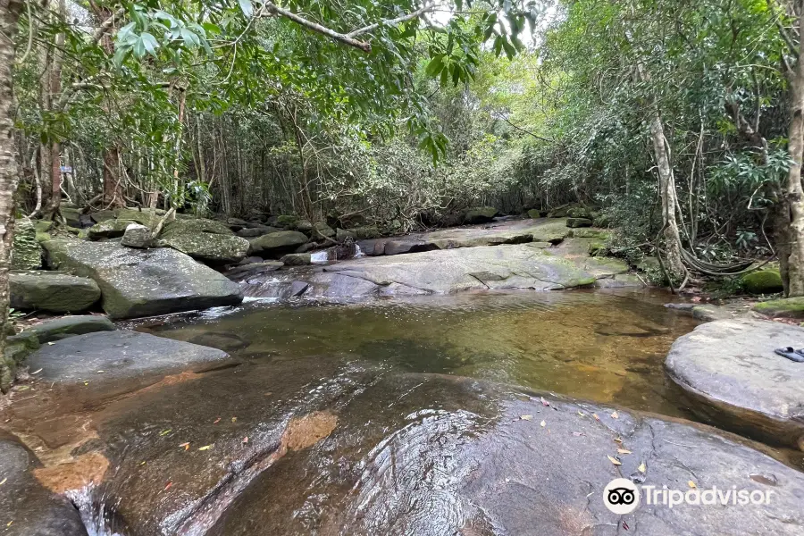 Tranh Stream