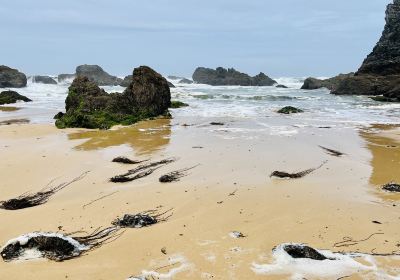 Plage de Port-Donnant