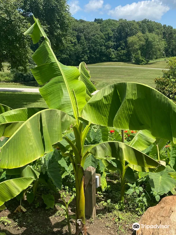 5_Hidden Lake Gardens