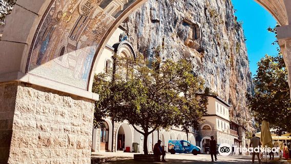 Kotor