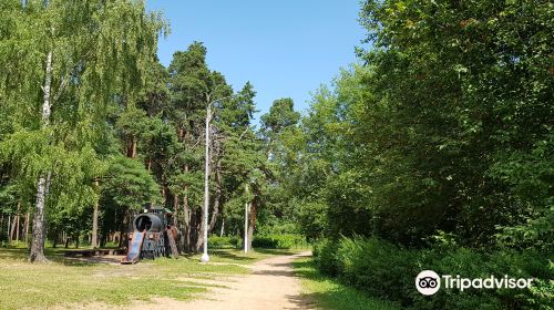 Volkhonka Park