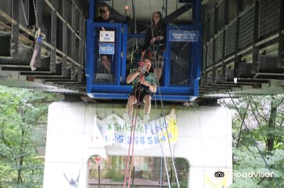 Highland Fling Bungee