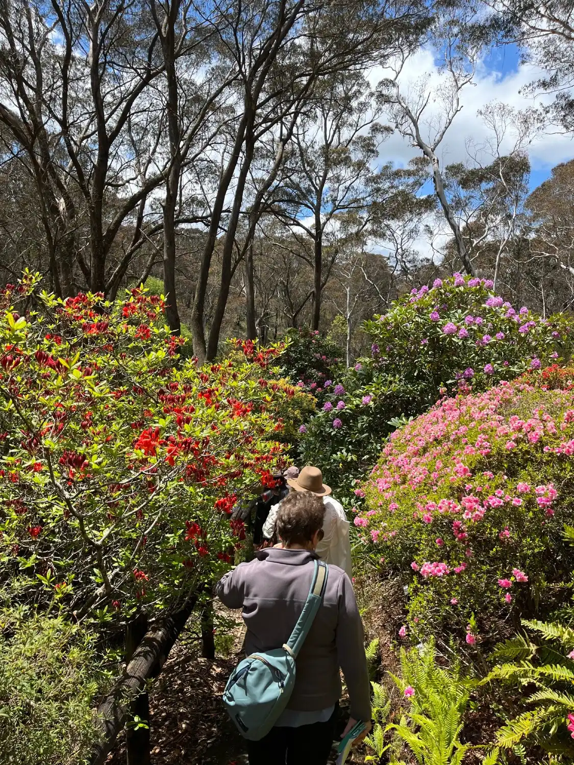Hotels near Campbell Rhododendron Gardens