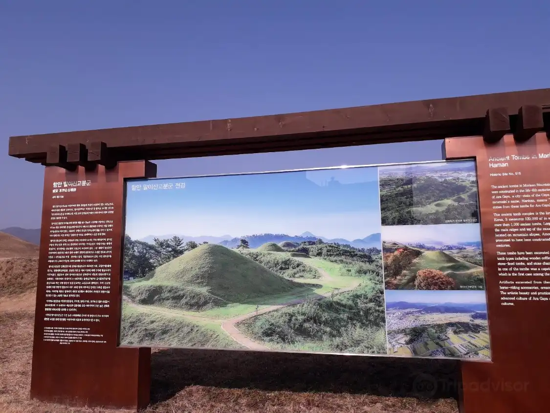 Hotels near Haman Museum