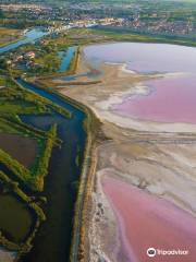 Salin d'Aigues-Mortes