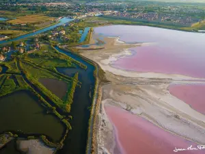 粉色鹽湖