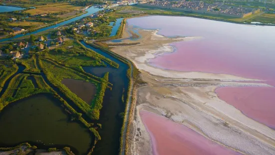 Salin d'Aigues-Mortes