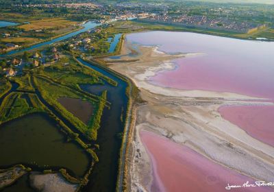 Salin d’Aigues-Mortes