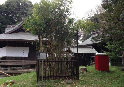 Ninomiya Shrine