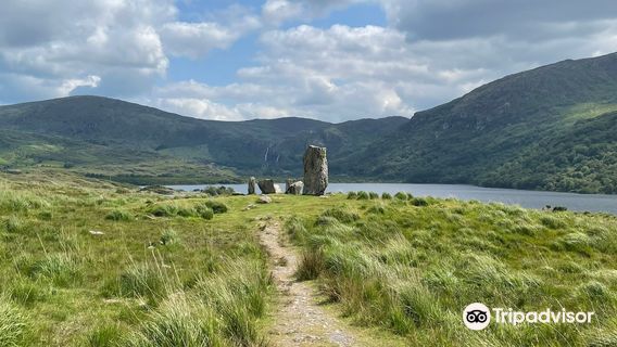 Uragh Stone Circle(Ciorcal Cloch Uragh)