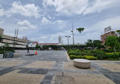 Catedral Metropolitana de San Marcos