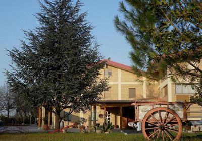 Cantine Bosco Nestore