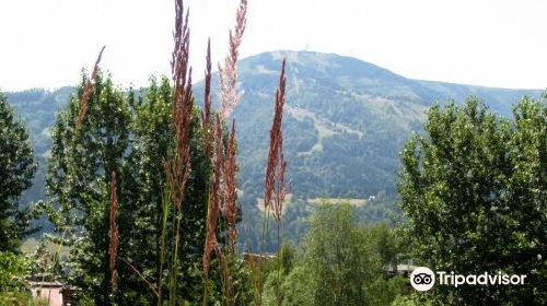 Park Krajobrazowy Beskidu Slaskiego/Beskid Slaski landscape park