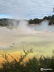 Waiotapu Mud Pool