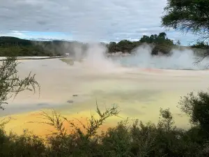 Waiotapu Mud Pool