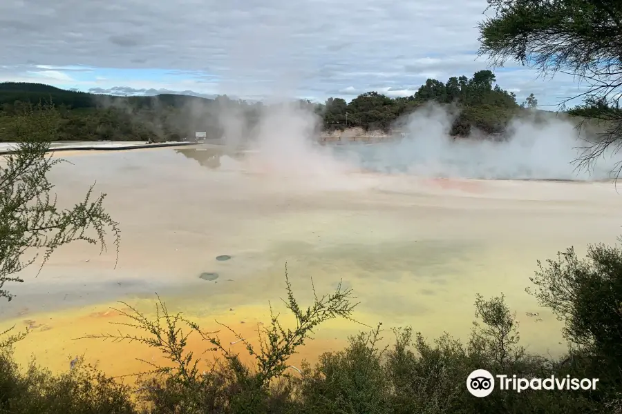 Waiotapu Mud Pool