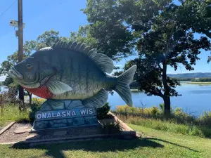 Sunny The Sunfish
