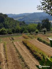 Giardino delle Erbe Augusto Rinaldi Ceroni