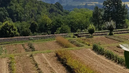 Giardino delle Erbe Augusto Rinaldi Ceroni