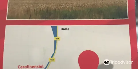 Phanomania Carolinensiel