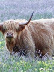 Réserve Naturelle Nationale du Platier d'Oye