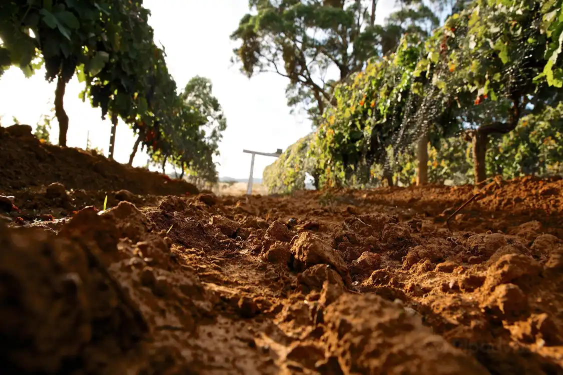 Hotels near Pennyweight Winery