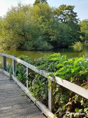 Wandsworth Common