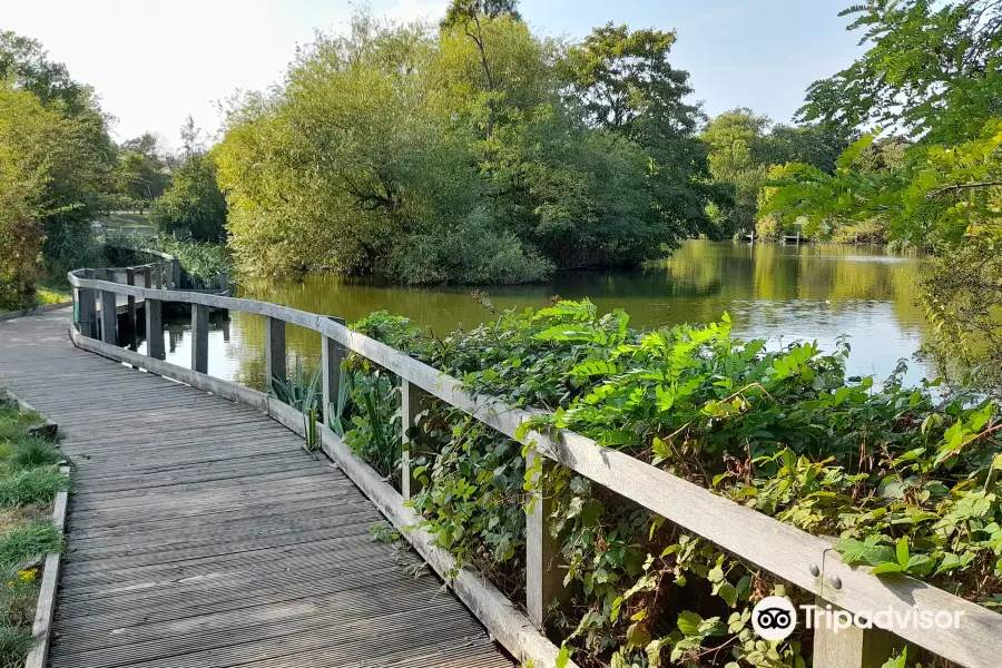 Wandsworth Common