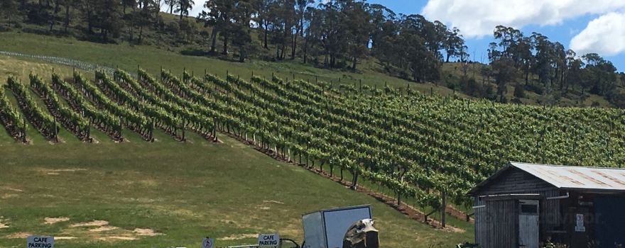 Elmslie Winery