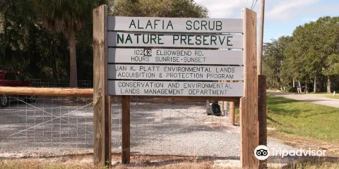 Alafia Scrub Nature Preserve
