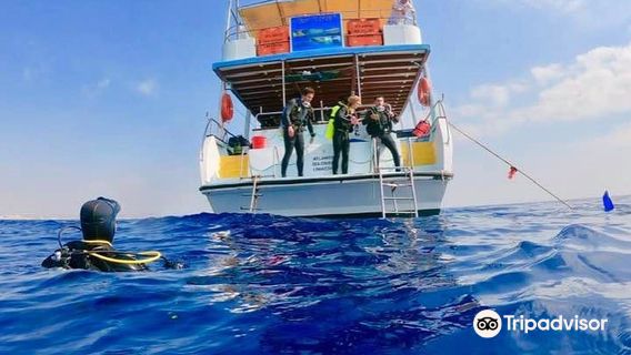 I Dive Cyprus