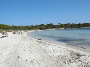 Playa Arenal De Son Saura