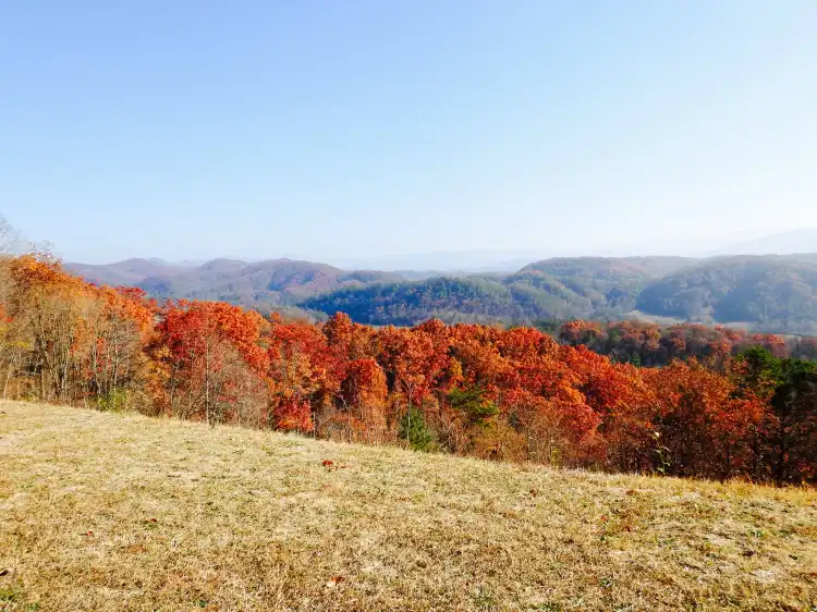 Hotels near Foothills Parkway