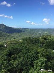 Parque Forestal La Marquesa