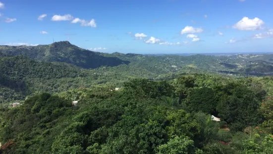 La Marquesa Forest Park