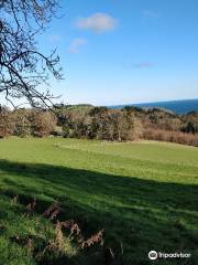 Carnfunnock Country Park