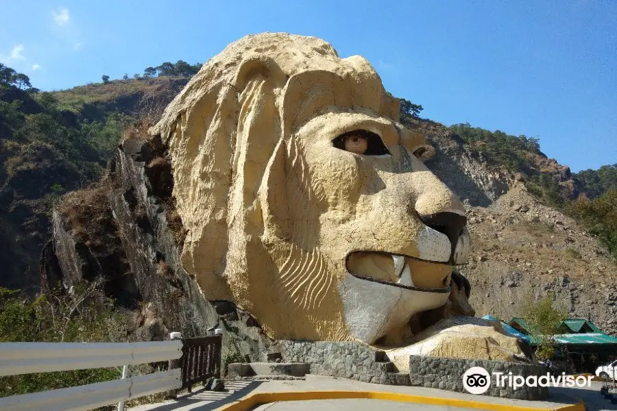 Lion’s Head