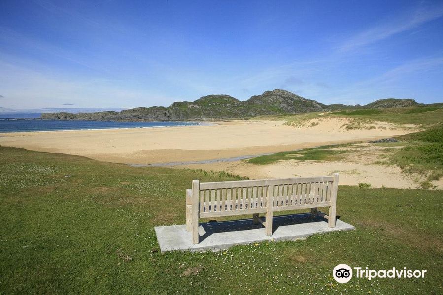 Shanghai to Colonsay Flights