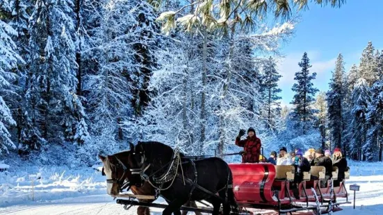 Mountain Springs Lodge