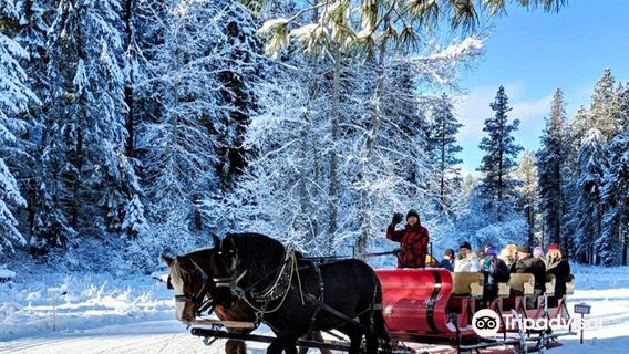 Mountain Springs Lodge