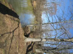 Jeffers Bend Environmental Center