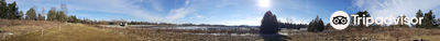 Laurel Creek Conservation Area
