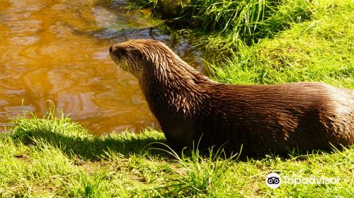 Wildpark Eekholt